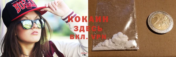 ГАЛЛЮЦИНОГЕННЫЕ ГРИБЫ Вяземский