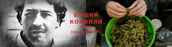 spice Вязьма