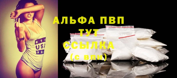 PSILOCYBIN Вязники