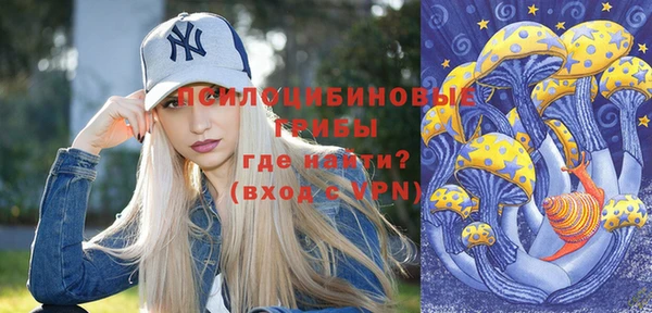 spice Вязьма