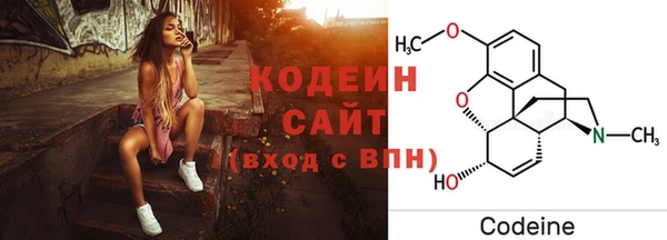 ГАЛЛЮЦИНОГЕННЫЕ ГРИБЫ Вяземский