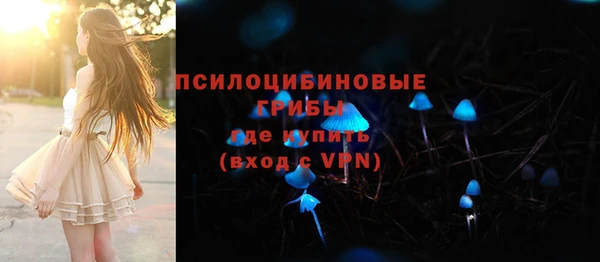 ГАЛЛЮЦИНОГЕННЫЕ ГРИБЫ Вяземский
