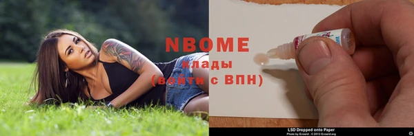 ГАЛЛЮЦИНОГЕННЫЕ ГРИБЫ Вяземский