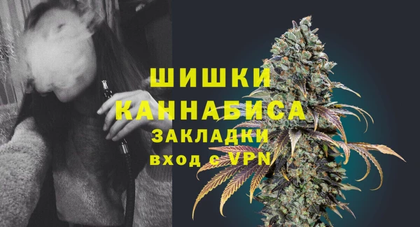 ГАЛЛЮЦИНОГЕННЫЕ ГРИБЫ Вяземский