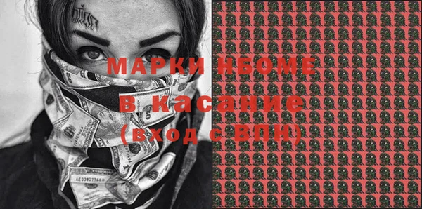 ГАЛЛЮЦИНОГЕННЫЕ ГРИБЫ Вяземский