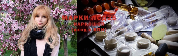 ГАЛЛЮЦИНОГЕННЫЕ ГРИБЫ Вяземский