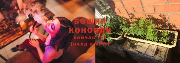 spice Вязьма