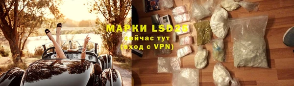 ГАЛЛЮЦИНОГЕННЫЕ ГРИБЫ Вяземский