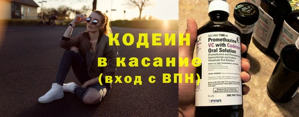 ГАЛЛЮЦИНОГЕННЫЕ ГРИБЫ Вяземский